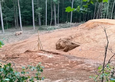 Professional grading