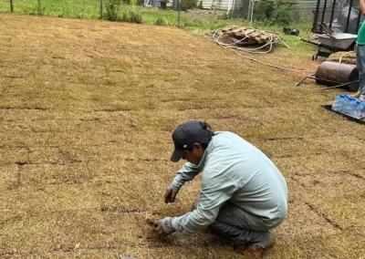 Professional yard grading